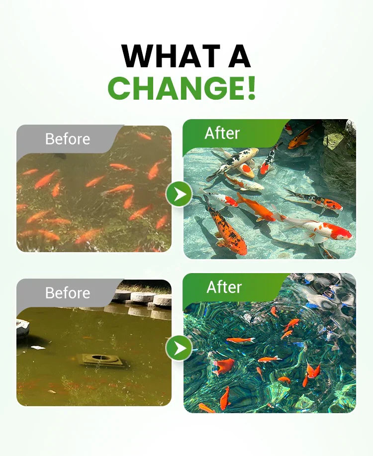Premium Pond Care Powder | Water Clarifier & Algae Control 🐟